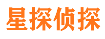 龙沙寻人公司